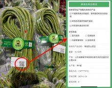 以省办公厅表面印发《关于进一步强化食物平安