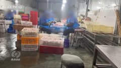 任何产物名称、厂家消息或出产标识